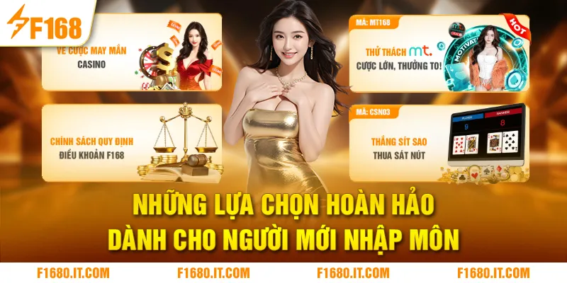 Những lựa chọn hoàn hảo dành cho người mới nhập môn